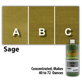 Concrete Resurrection Professional Easy to Apply Water Based Concrete Stain Sage 8oz Bottle