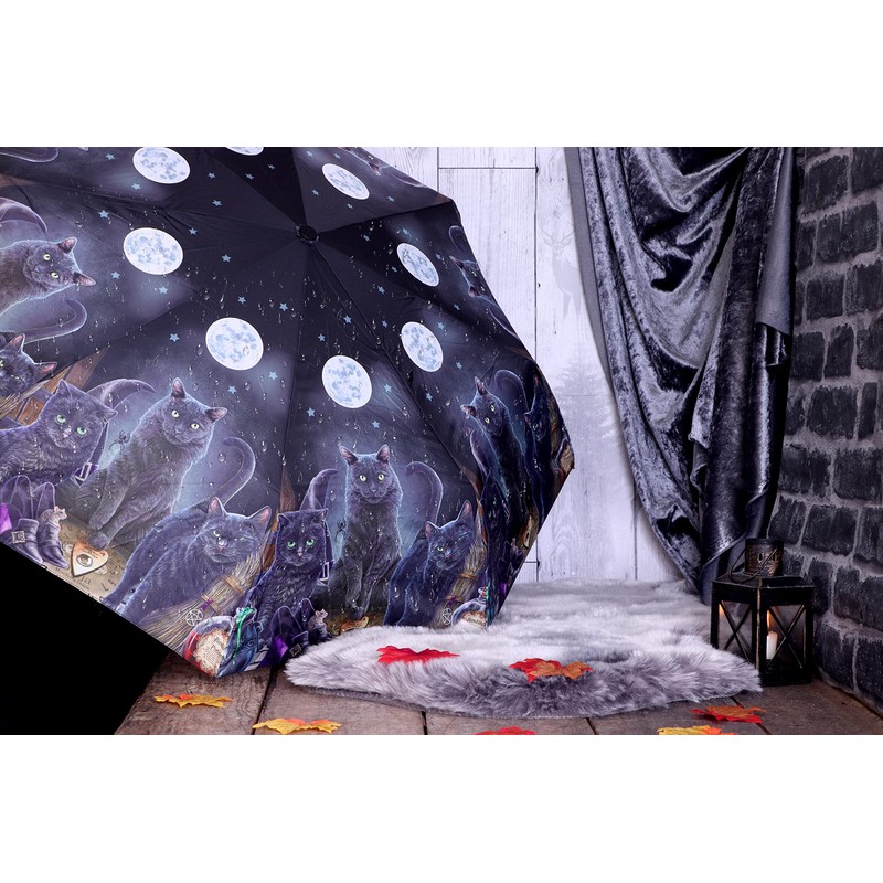 Nemesis Now Familiars Umbrella (LP), Resin, Black, 55cm