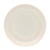 Showa Izawa Corporation Lightweight Tableware TLP Rim Band Plate WH