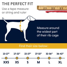 RUFFWEAR, Wind Sprinter Ultralight Wind Resistant Jacket for Dogs, Blue Atoll, X-Large