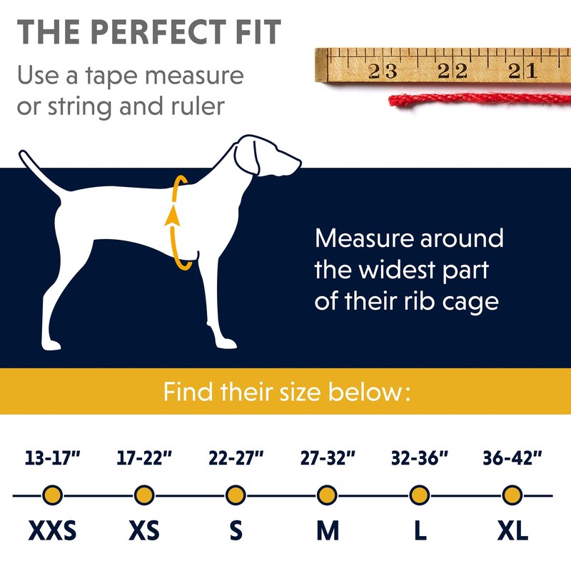 RUFFWEAR, Wind Sprinter Ultralight Wind Resistant Jacket for Dogs, Blue