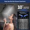 Airlex Shower Head 10'' Rain Shower Head with Handheld Spary,