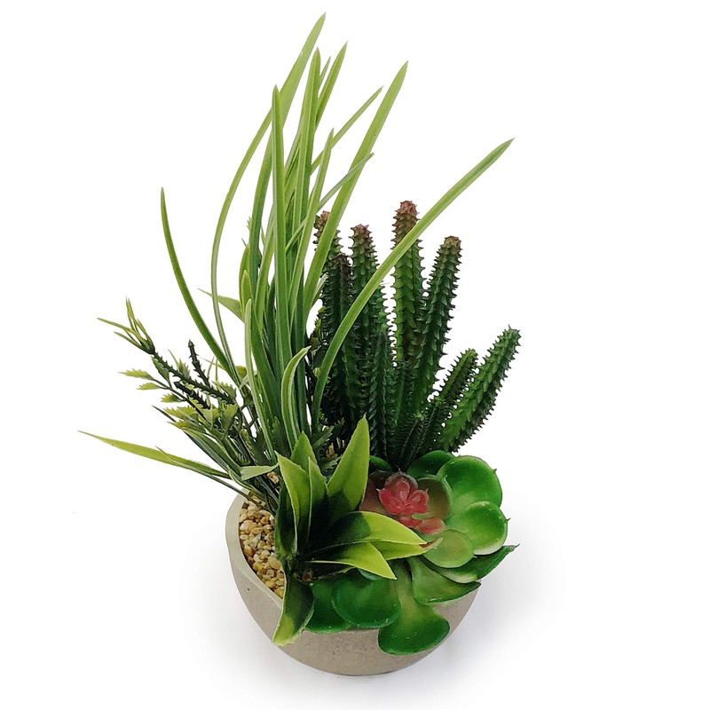 allgala Small Desktop Artificial Combination Succulent Plant Group with Natural