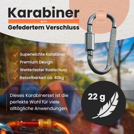 MyIdeaz Carabiner with spring-loaded gate, D shape carabiner set, 80 mm large snap hook made of high-quality premium aluminium for camping, hiking, silver, 8 cm