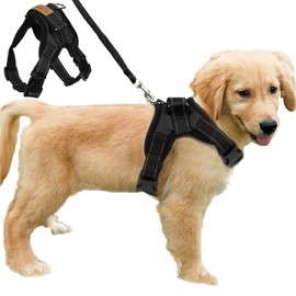 FUNKEEN PET HOUSE No Pull Dog Vest Harness Padded Adjustable Dog Chest Strap for Outdoor Walking Travelling Traning Assistance (M, Black)
