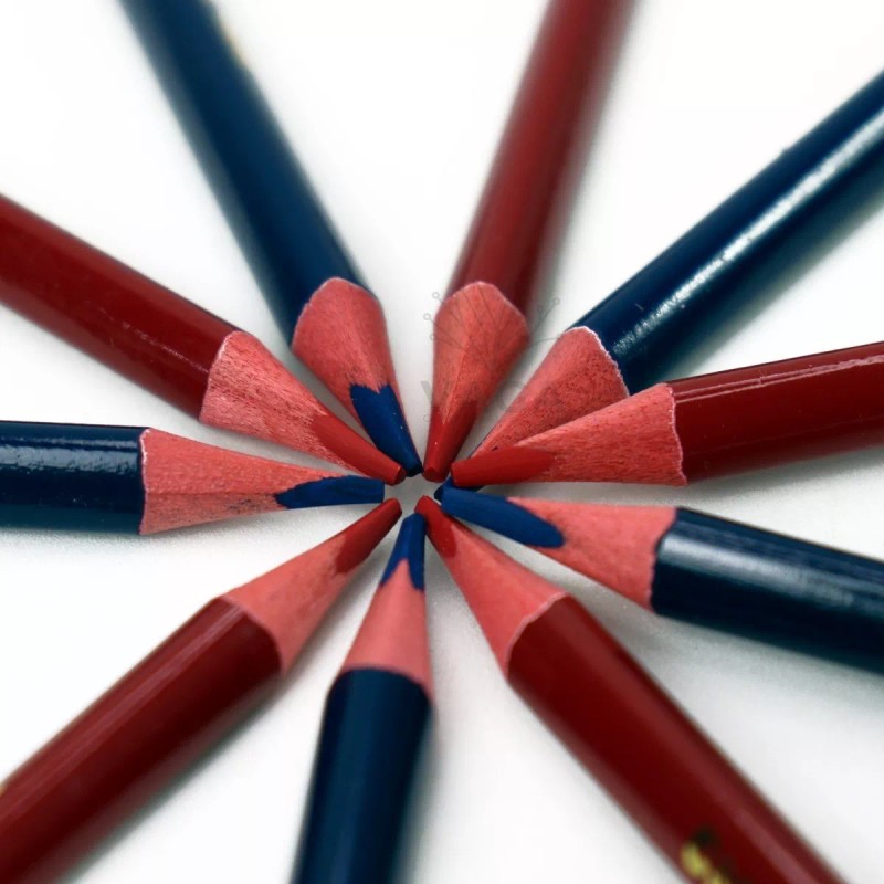 Vaga Lápiz Bicolor Triangular Caja Con 10 Pzs Indra Azul