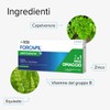 Arkopharma Forcapil Anticaduta - Integratore Alimentare per Capelli - Con