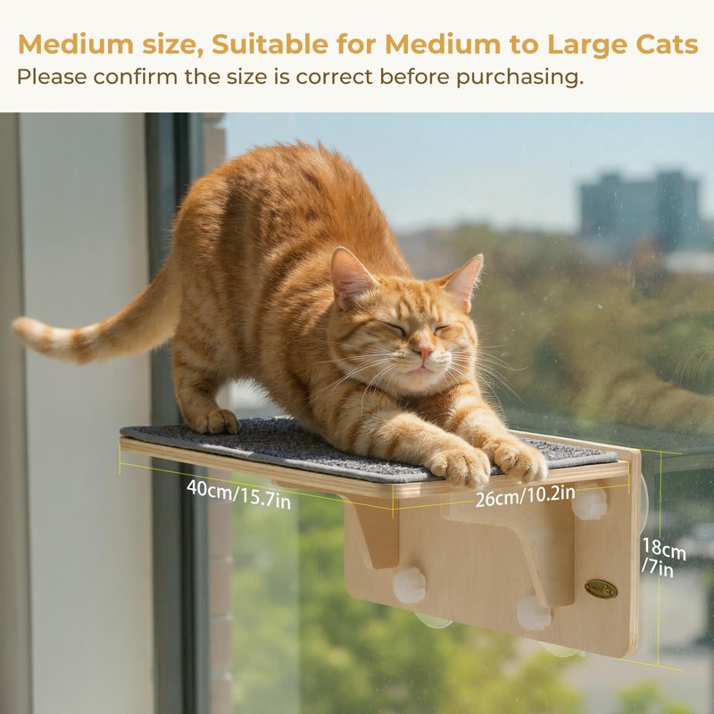 Pecute 2-in-1 Cat Window Perch & Wall Shelves, Cat Hammock