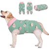 AOFITEE Dog Bodysuit After Op, Dog Bodysuit After Surgery ,