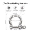 AACGIN 2 Pack D Ring Shackles 0.45 Inch 0.88 Ton