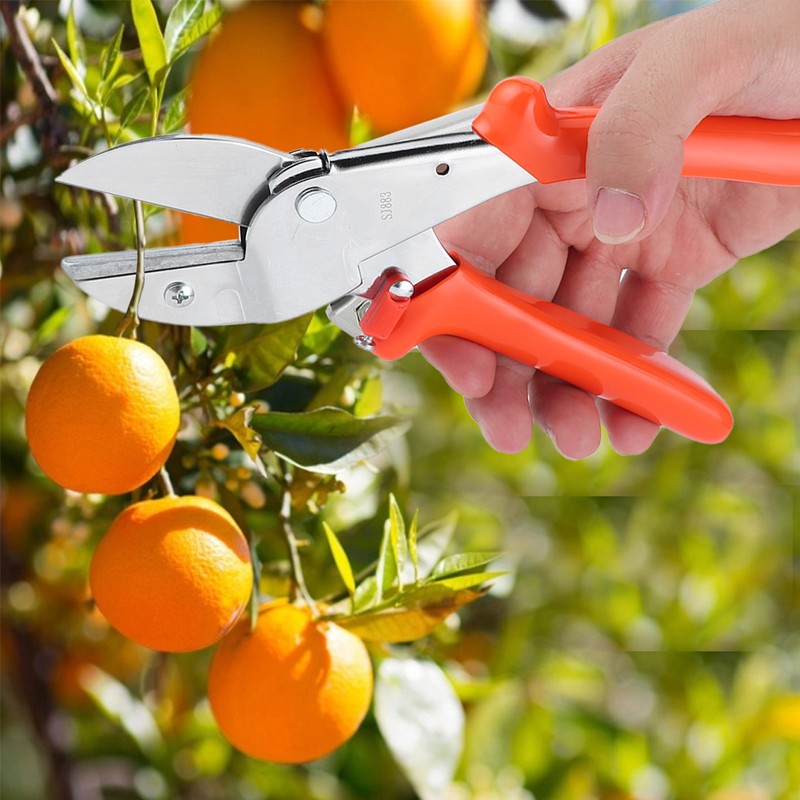 Professional Steel Garden Pruning Shears Plant Tree Trimming Scissors Gardening