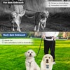 Jogging Lead Dogs, Reflective Belly Strap, Dog Lead for 2