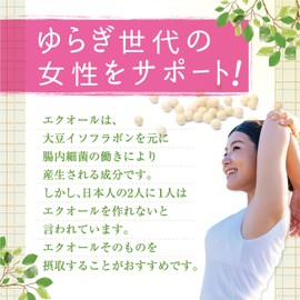 ORIHIRO Equol & Fermented Red Ginseng 150 Tablets - Equol Soybean Isoflavone Aglycone Red Ginseng 50 Days Supply