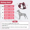 Belababy Medium Dog Harness, Anti Pull Dog Harness with Soft