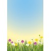 Spring Meadow Writing Pad Set – 1 Writing Pad with