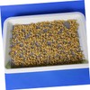 KONTONTY Vegetable Garden Essential 100 Pcs Germinating Paper Leak Sprout