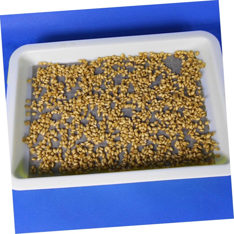 KONTONTY Vegetable Garden Essential 100 Pcs Germinating Paper Leak Sprout