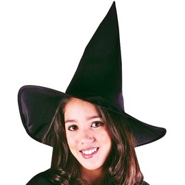Fun World Witch Costume, Small 4-6, Multicolor