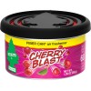 Little Trees Fiber Can Air Freshener - Multiple Scents Available