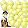 Suilung 24 Pcs Squeaky Dog Balls Latex Rubber Squeaky Dog