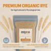Rye Berries for Mushroom Spawn - Organic, Triple Washed Rye