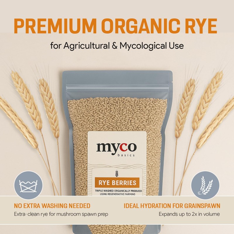 Rye Berries for Mushroom Spawn - Organic, Triple Washed Rye