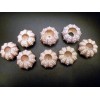Two Sputnik Urchins 1.5 - 3" purple sea urchin without