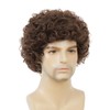 Amnenl Brown Curly Short Afro Wigs for Men California Cosplay