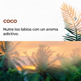Yves Rocher 3 PACK de Bálsamos humectantes para labios, con Vitamina E y Aceites naturales, sin color: 1 Labial aroma a COCO + 1 Labial aroma KARITÉ +