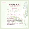 2suero Rejuvenecedor+crema Hidratante Células Madre Florigan