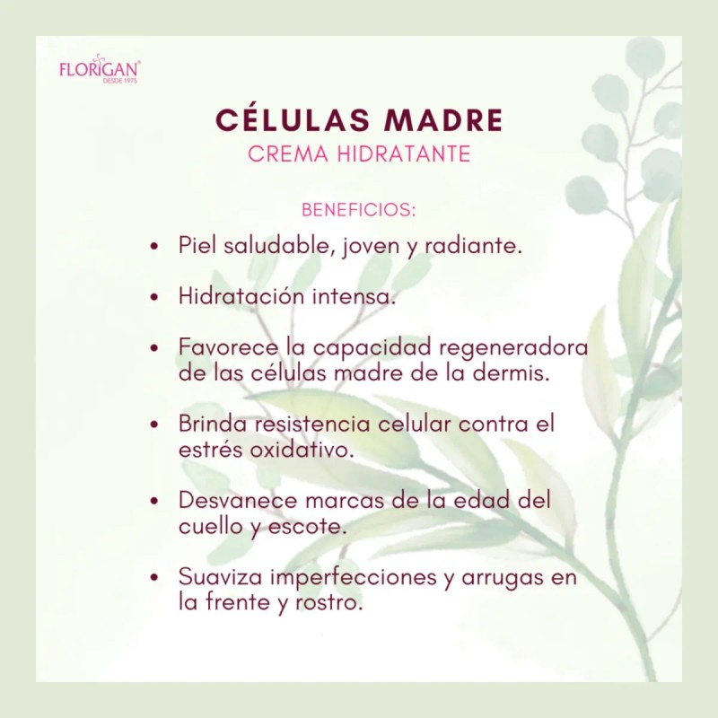 2suero Rejuvenecedor+crema Hidratante Células Madre Florigan