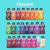 BOLERO - Sugar Free Flavor Water Drink Mix Packets Variety