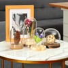 uxcell Cloche Glass Dome, 3.5" x 7" Decorative Glass Display