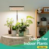 LBW Desk Grow Light, Full Spectrum Plant Light for Indoor