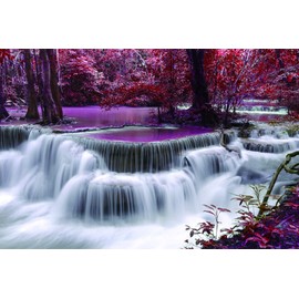 Jigsaw Puzzles for Adults 1000 Piece Waterfall in The Forest 27.56 x 19.69 Inch Jigsaw Puzzles for Adults Educational Game Challenge Toy 1000 Pieces Puzzles for Adults