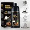 Shampoo para Canas con Tinte, Hair Dye Shampoo 3 in 1 (Black)                                                                                         