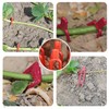 Plant Support, 150 Pieces, Runner Pins, Gardening Clips, Plant Fixing,