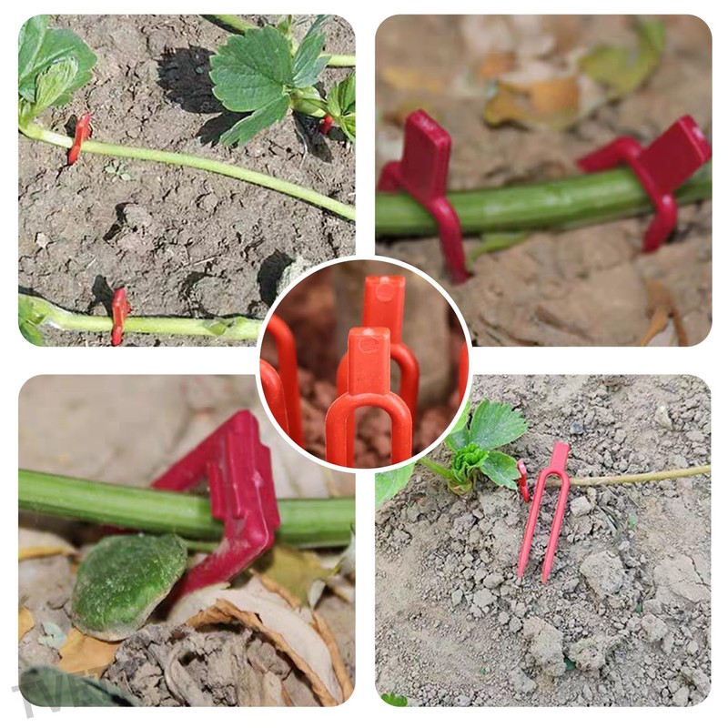 Plant Support, 150 Pieces, Runner Pins, Gardening Clips, Plant Fixing,