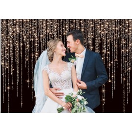 CHAIYA 8x6ft Glitter Rose Gold and Black Backdrop Birthday Backdrop Women Bridal Shower Kids Portraits Backdrop Baby Shower Party Decorations Banner New Year Party Backdrop