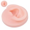 Professional Soft Silicone Ear Model Fake Ear Display Sample Ear