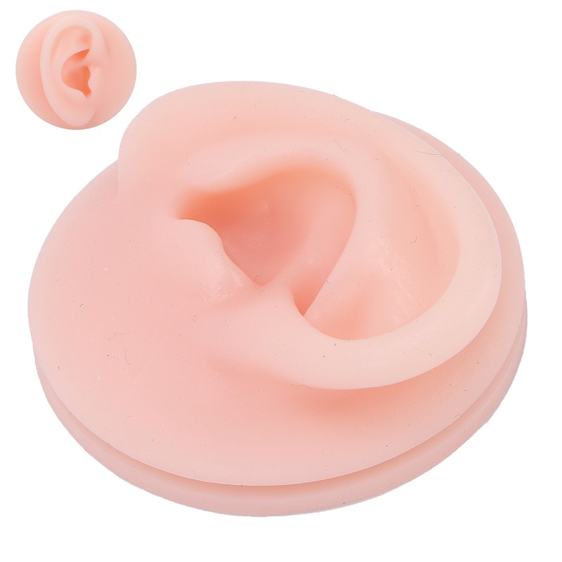 Professional Soft Silicone Ear Model Fake Ear Display Sample Ear