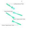 4pcs Tongue Muscle Trainer Improve Flexibility Lateralization Lifting Oral Muscle