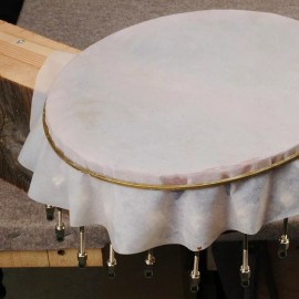 Five-Star Skin Banjo Head