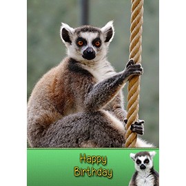 Lemur Birthday Card