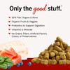 Stella & Chewy's Freeze-Dried Raw Salmon & Cod Meal Mixers-