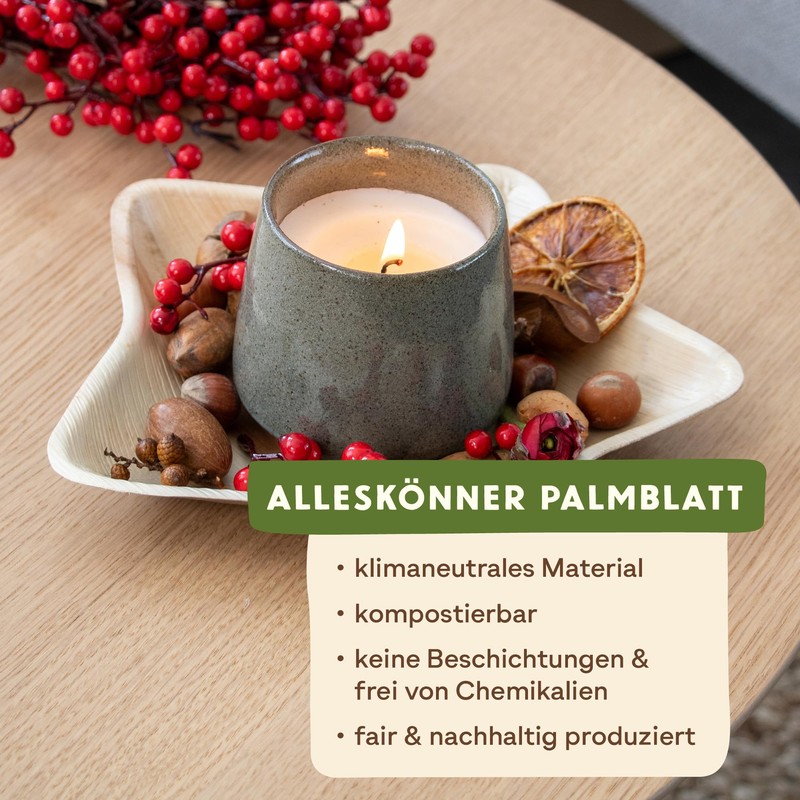 Leef 15 x Palm Leaf Plate Star Decoration and Snack
