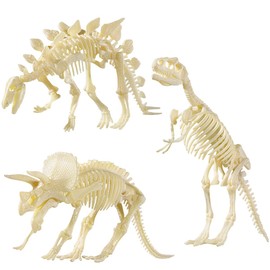 NUOLUX NUOLUX 4D Dinosaur Fossil Skeleton Assorted Dinosaur Toy DIY 3 Pieces Dinosaur Bone Fossils for Children Boys Girls