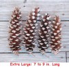Unbranded Eastern White Pine Cones Natural Pinecones DIY Decor Project