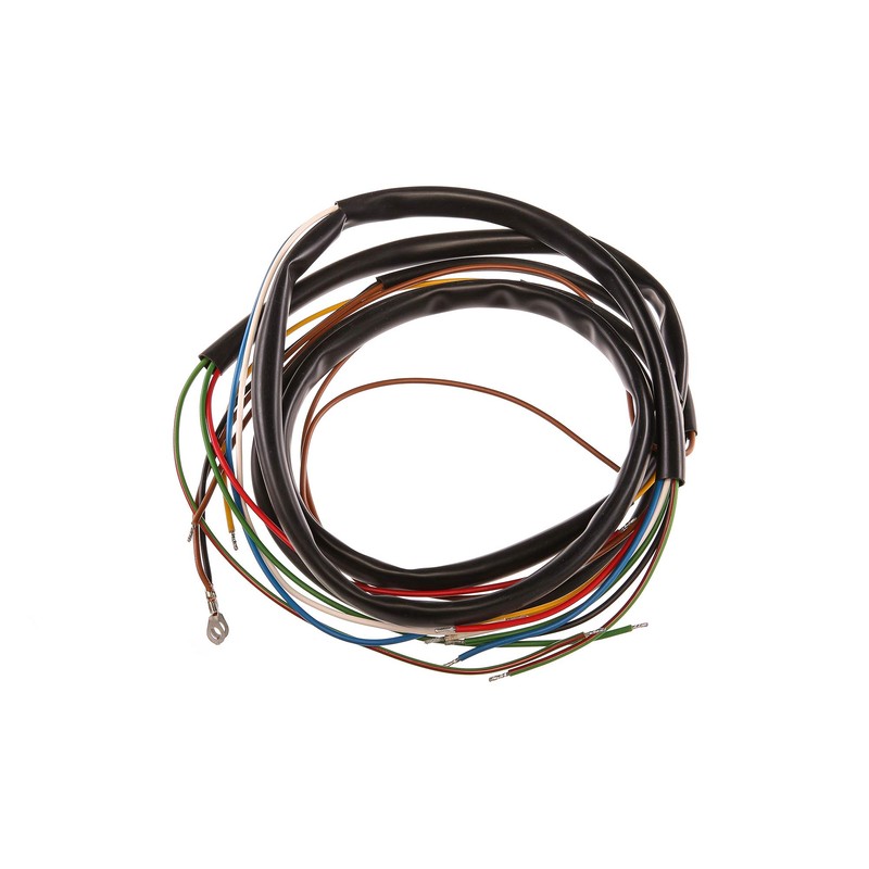 Wiring Harness with Wiring Diagram for Pannonia 250