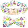 Elegant little tail Dog Collar- Cute Dinosaur Dog Collar with